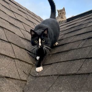 Meet your Posher, Jordyn